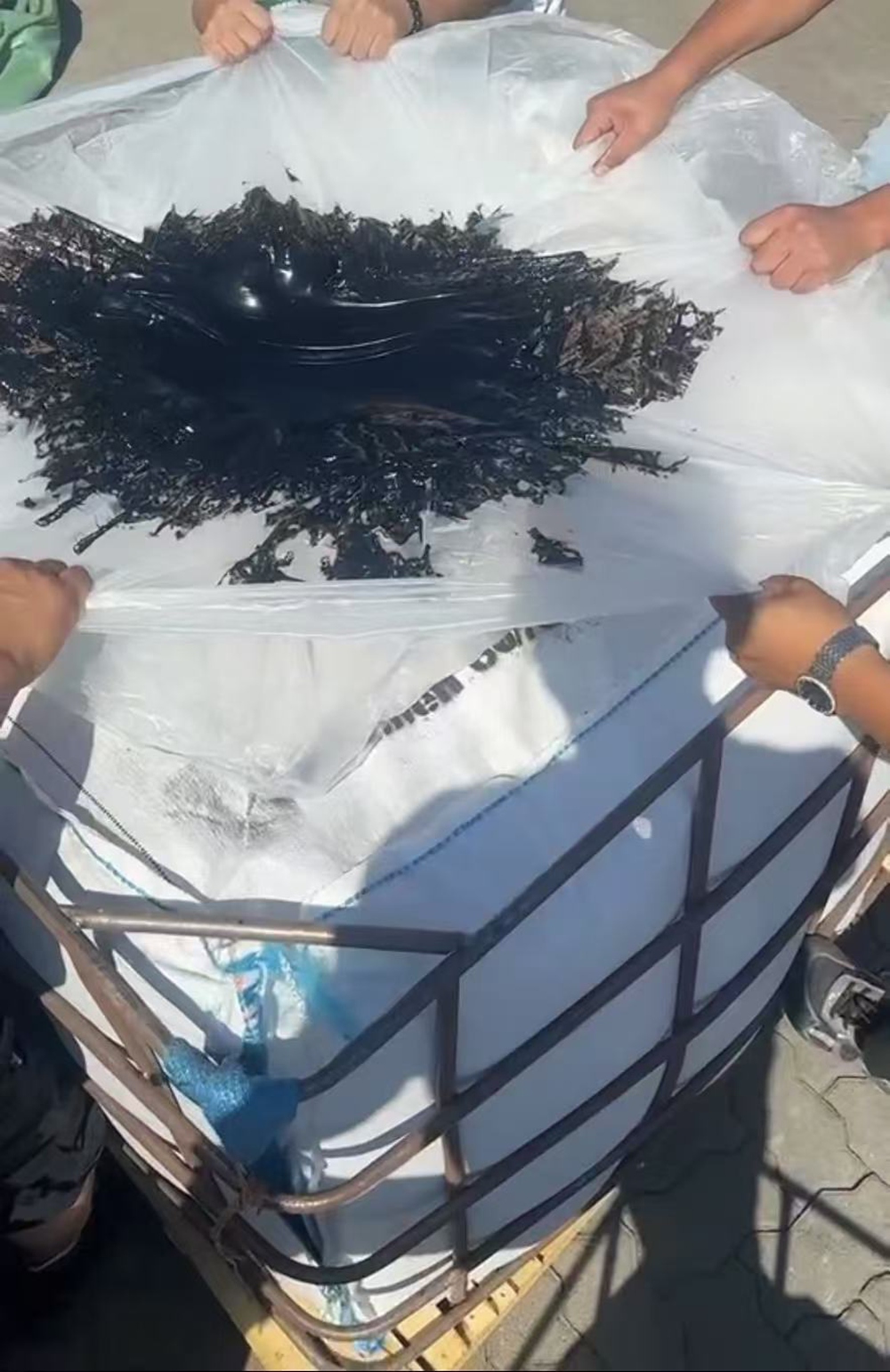沥青